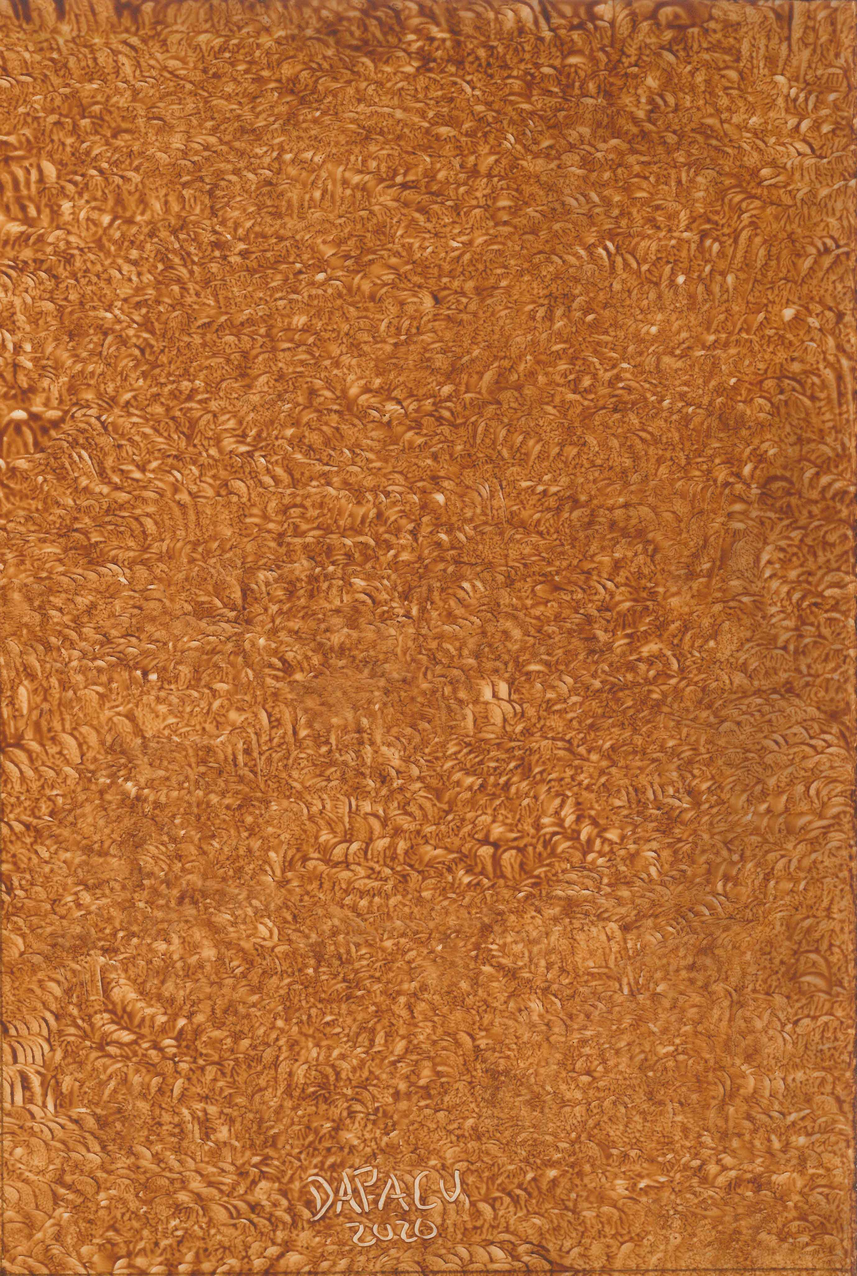 Fine Art Museum Exhibitions