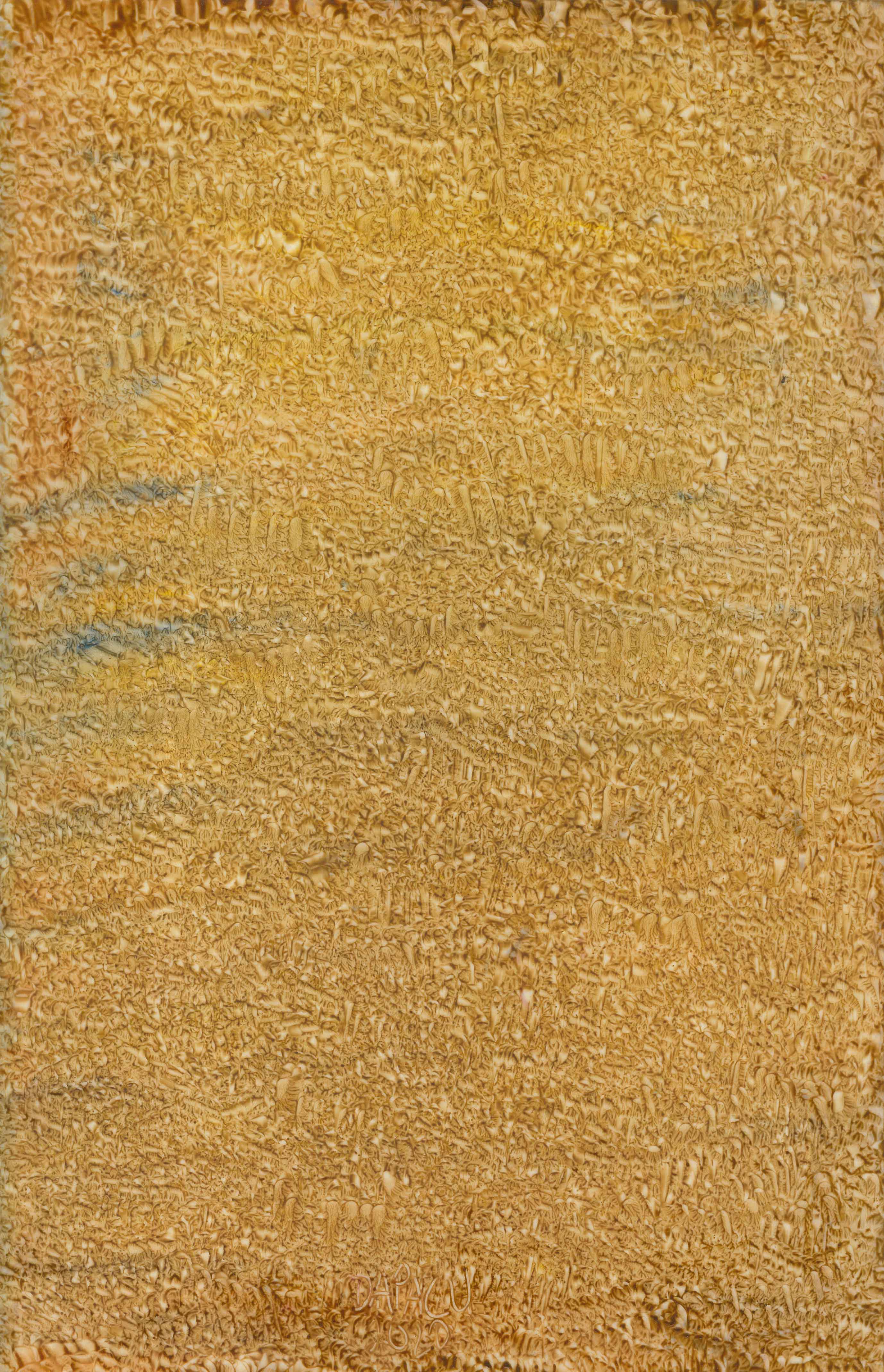 Fine Art Museum Exhibitions