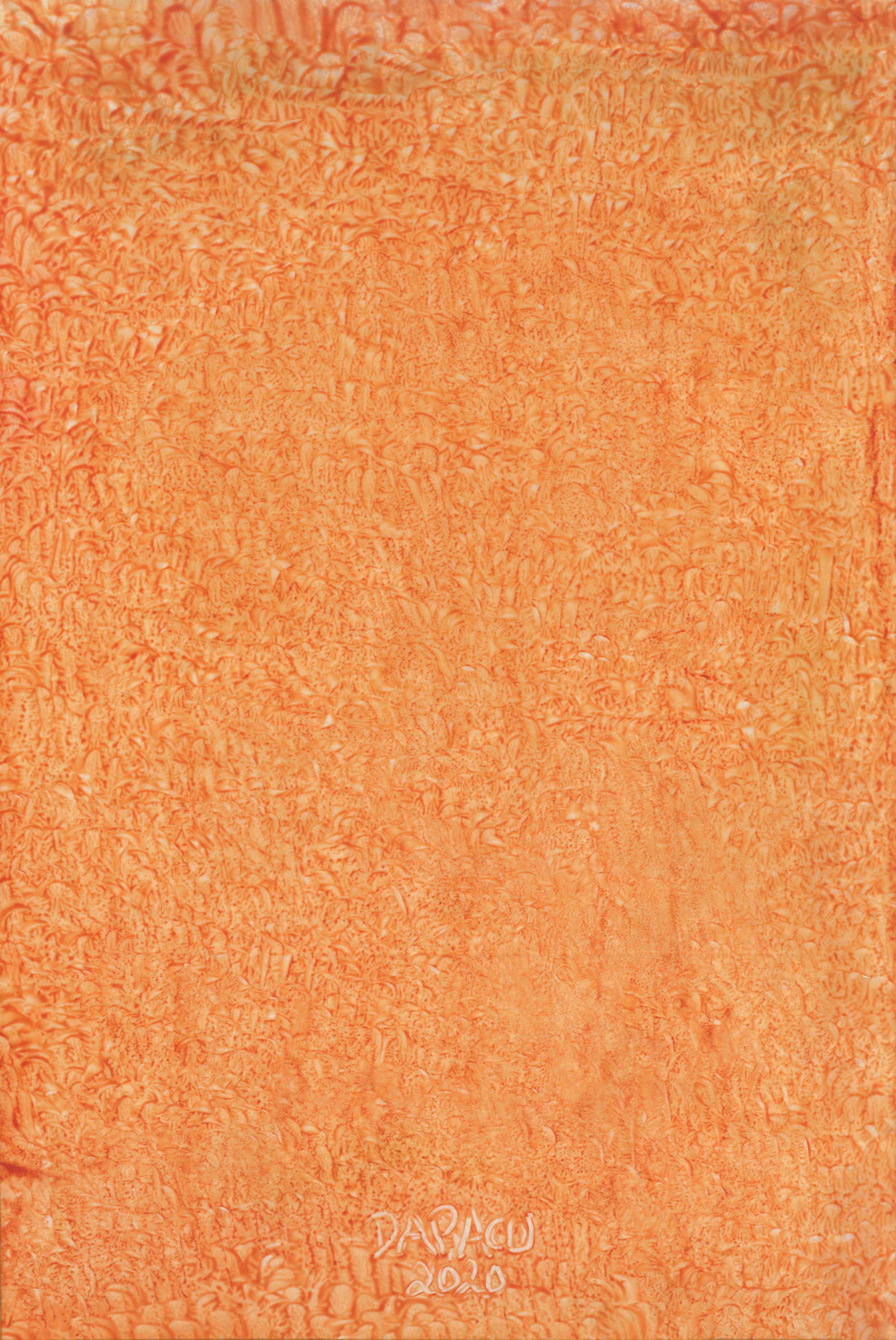 Fine Art Museum Exhibitions